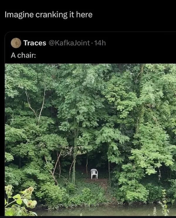 A meme showing a lone plastic chair in the woods with a funny and slightly unhinged comment.