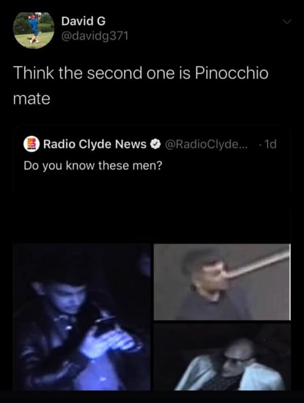 A funny picture of a Twitter reply identifying a crime suspect as the character Pinocchio.