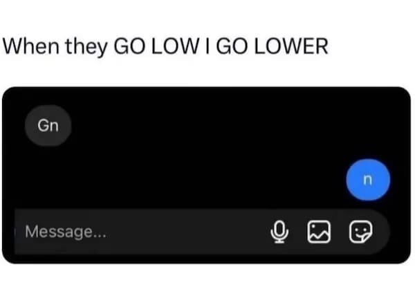 A funny picture of a text conversation where "Gn" is met with the even shorter reply "n."