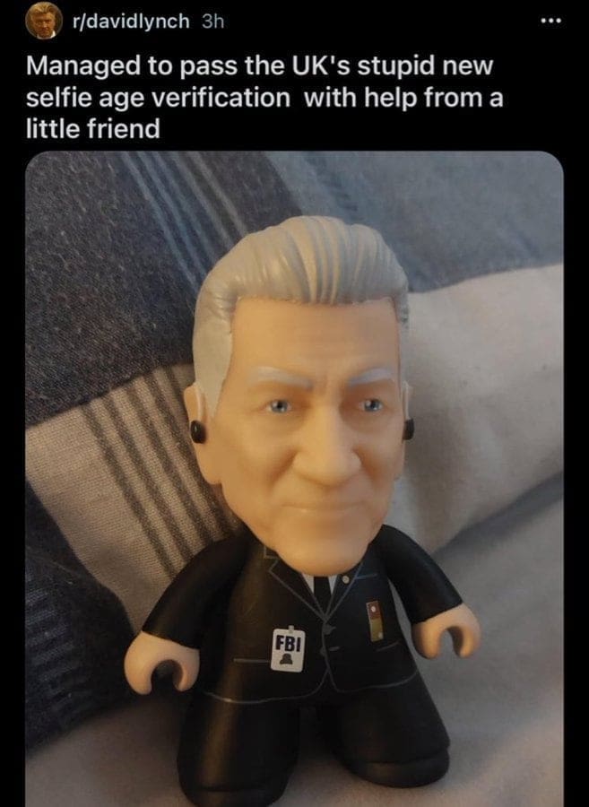 A funny picture of someone using a toy FBI agent figurine to pass an online age verification.