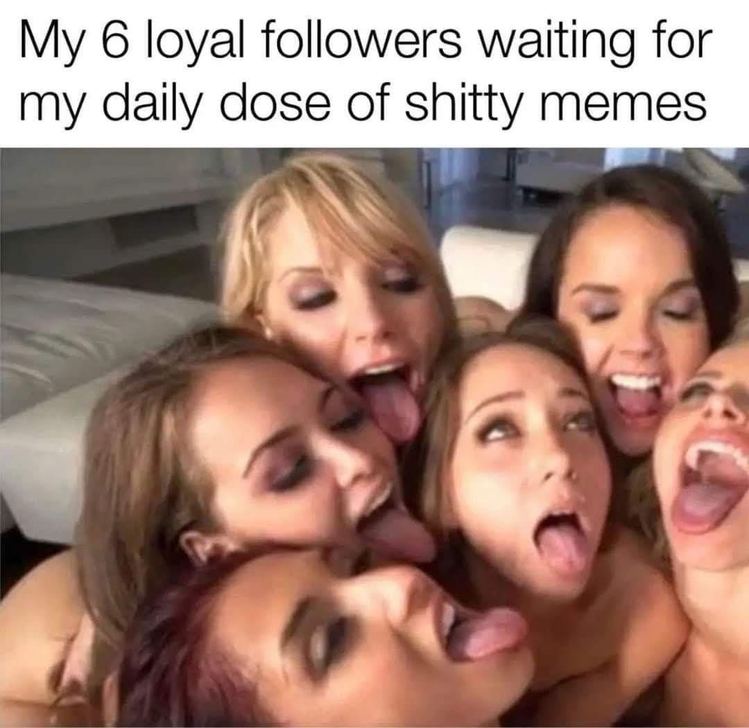 Funny picture using a popular meme format to joke about posting memes for six loyal followers.