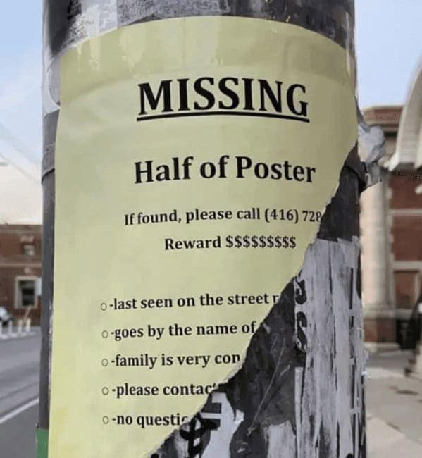 Torn lamppost flyer: “MISSING — Half of Poster. If found please call… Reward $$$.”