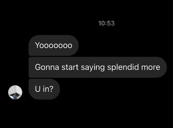 A funny text of someone randomly deciding to start saying the word "splendid" more often.