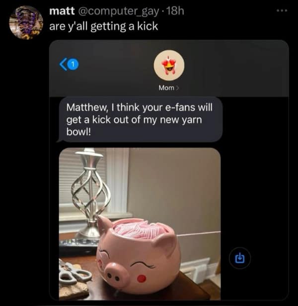 Text conversation of mom showing off pig-shaped yarn bowl