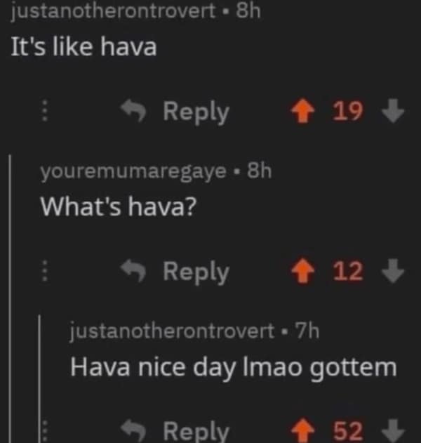 Reddit thread with a pun joke ending in “Hava nice day”
