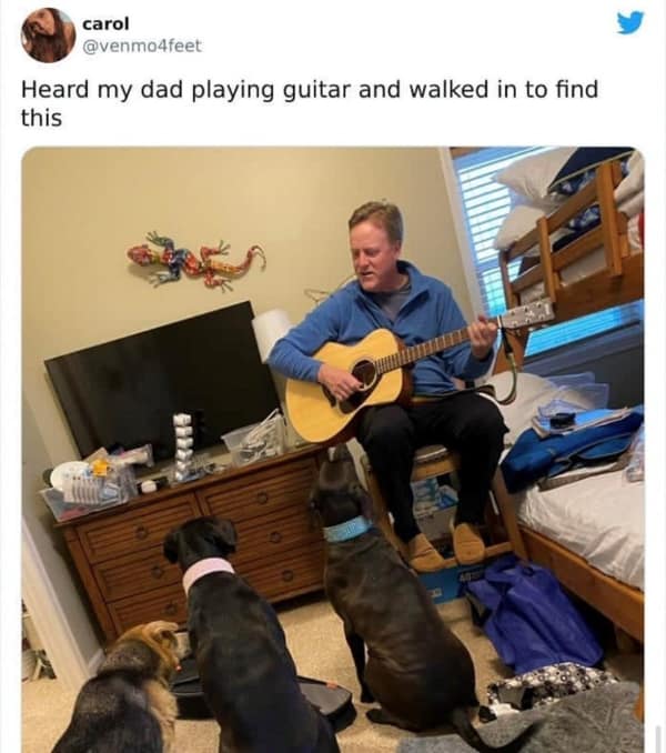 Man playing guitar for a room of dogs sitting and listening