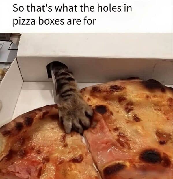 A hilarious animal meme showing a sneaky cat's paw stealing pizza through a hole in the box.