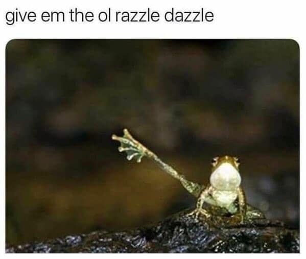 A funny frog striking a dramatic pose, a classic "give em the ol razzle dazzle" animal meme.