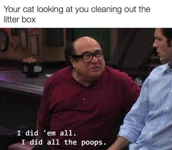 An It's Always Sunny meme of Frank Reynolds proudly telling Dennis, "I did all the poops."