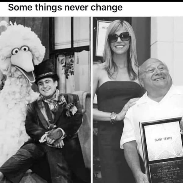 An It's Always Sunny meme comparing Danny DeVito standing with Big Bird and with Sweet Dee.