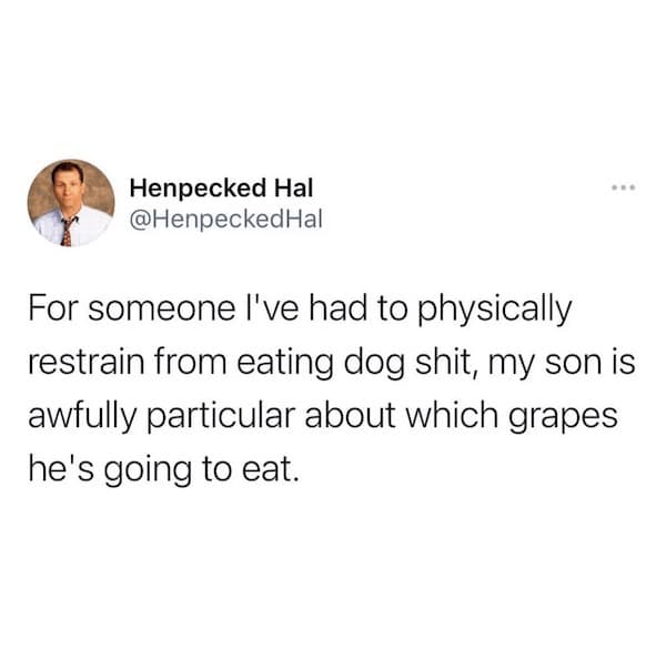 Tweet joking that son tries to eat dog poop yet is picky about grapes.
