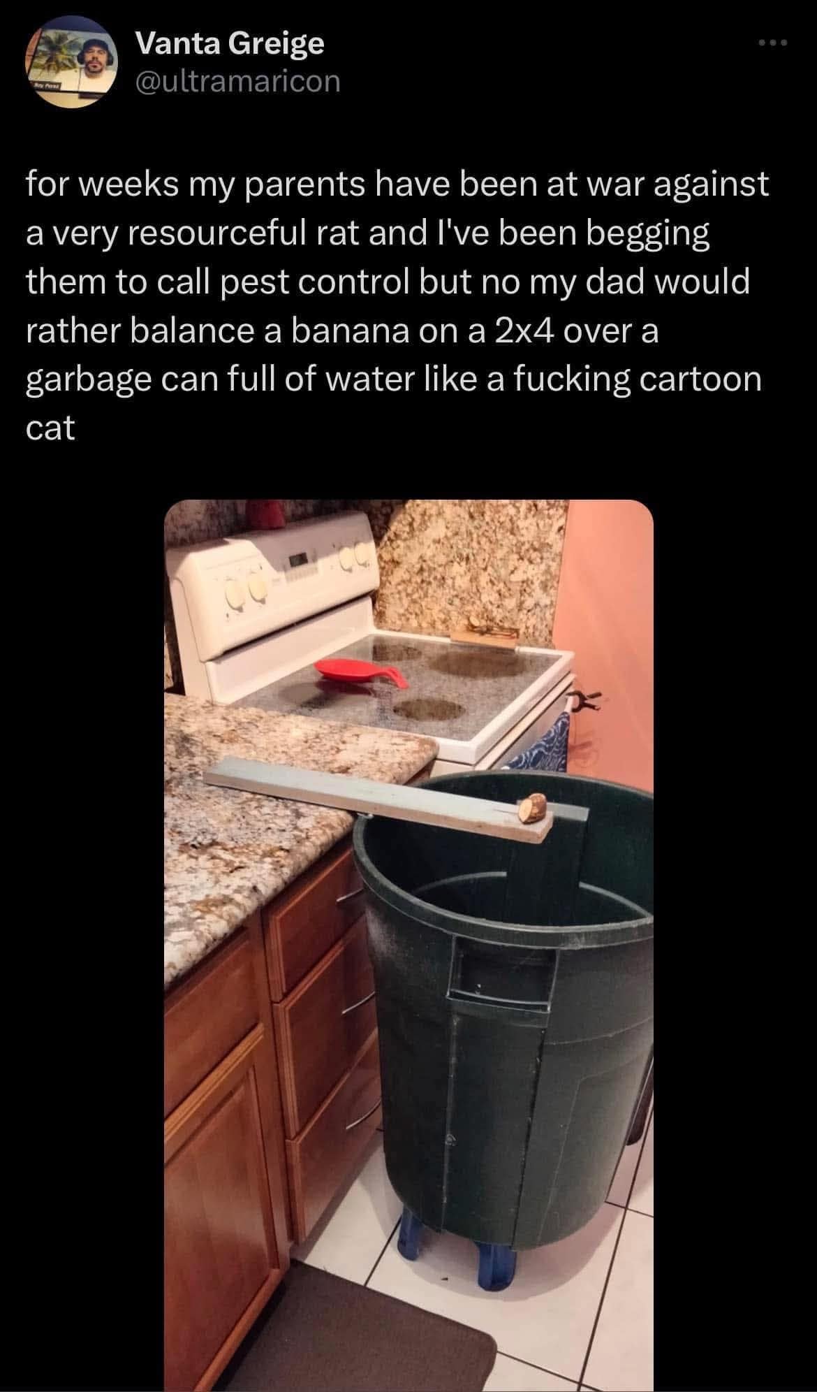 Tweet shows a makeshift banana trap over a trash can meant to catch a rat, described hilariously as cartoon logic—perfect for this meme dump.
