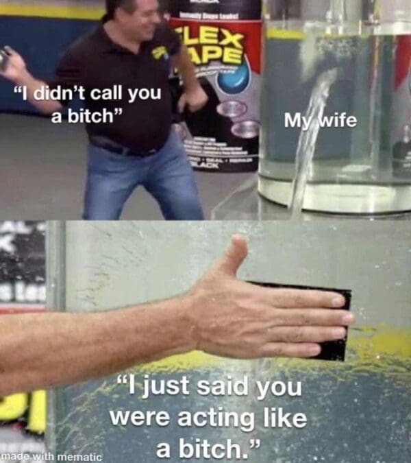 meme-dump-01-3-20250821-600x675.jpg
