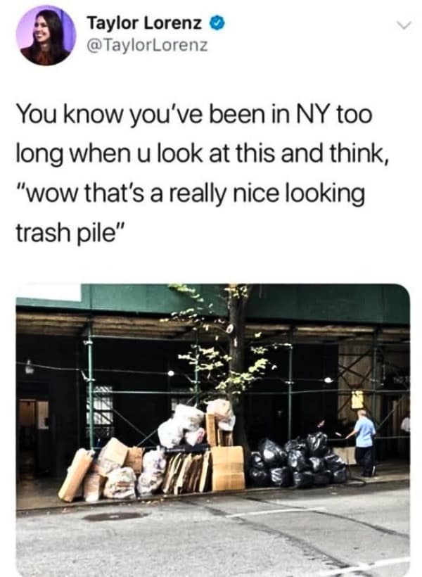 Taylor Lorenz tweets about how living in New York too long makes you admire a nicely organized trash pile. A peak relatable moment in the meme dump.