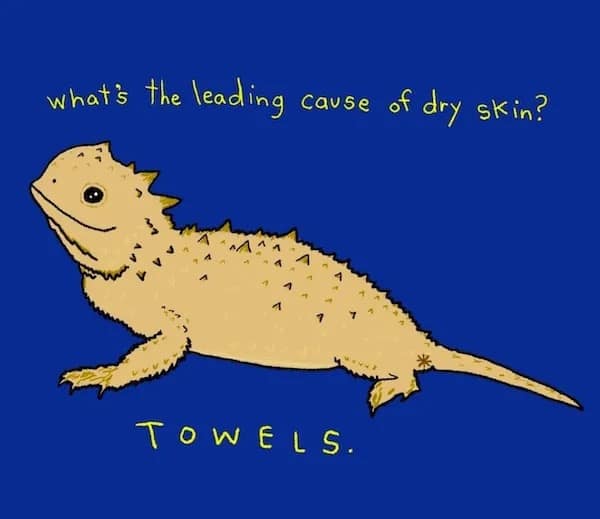 Cartoon lizard with caption: “What’s the leading cause of dry skin? Towels.”