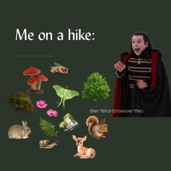 “Me on a hike:” with excited vampire pointing at mushrooms, bee, moth, fern, moss, bunny, squirrels, fawn, and a tiny tree.