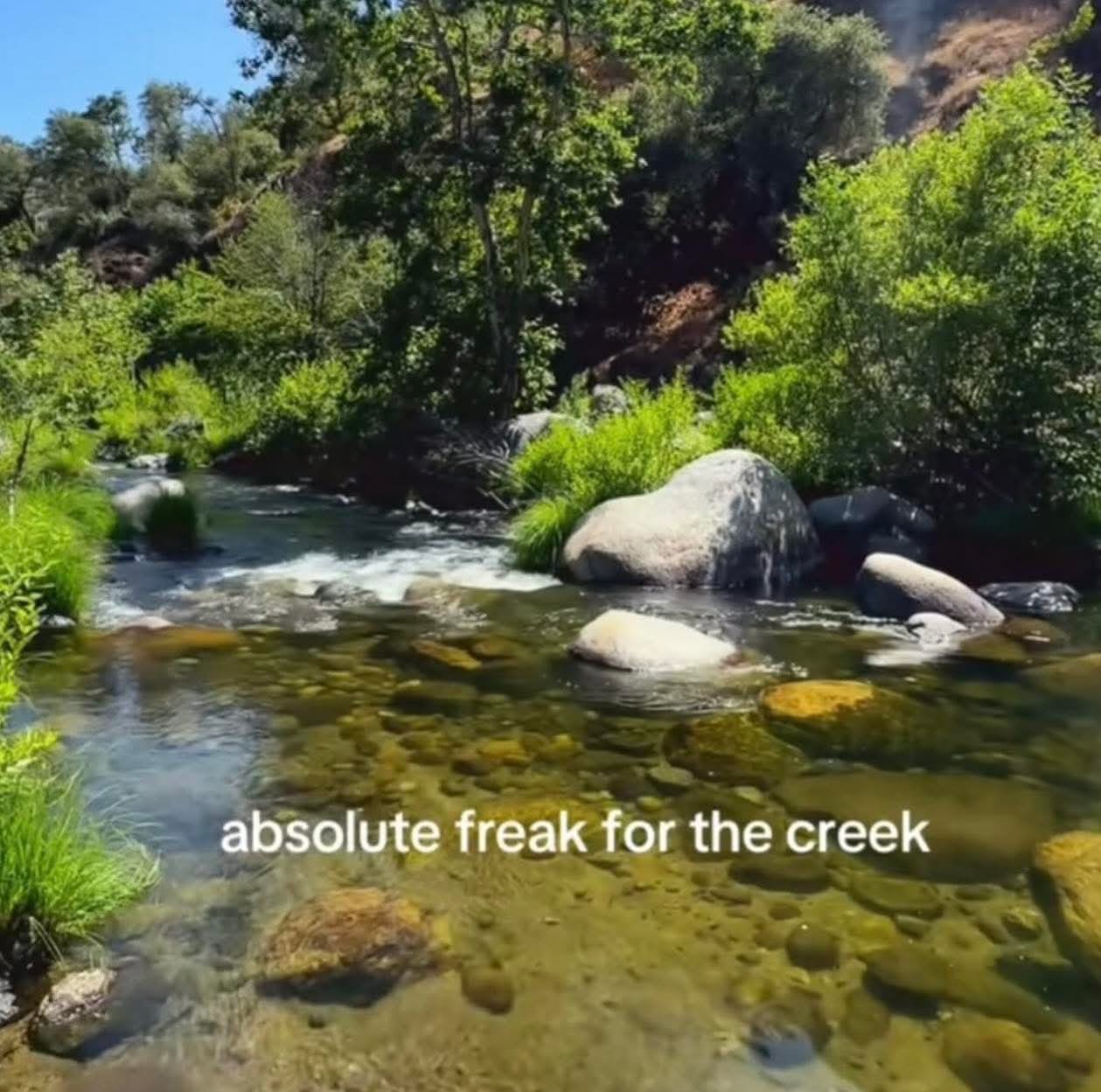 Clear creek with boulders and trees under bright sun; white text reads “absolute freak for the creek.”