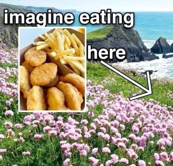Box of chicken nuggets and fries overlaid on a coastal field of pink flowers, caption says “imagine eating here.”