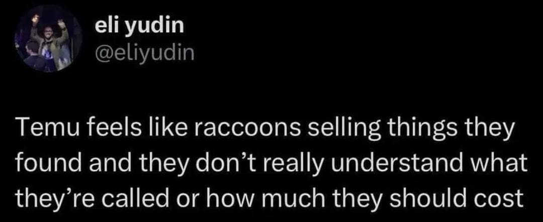 A tweet comparing the shopping site Temu to raccoons selling items they don’t understand.
