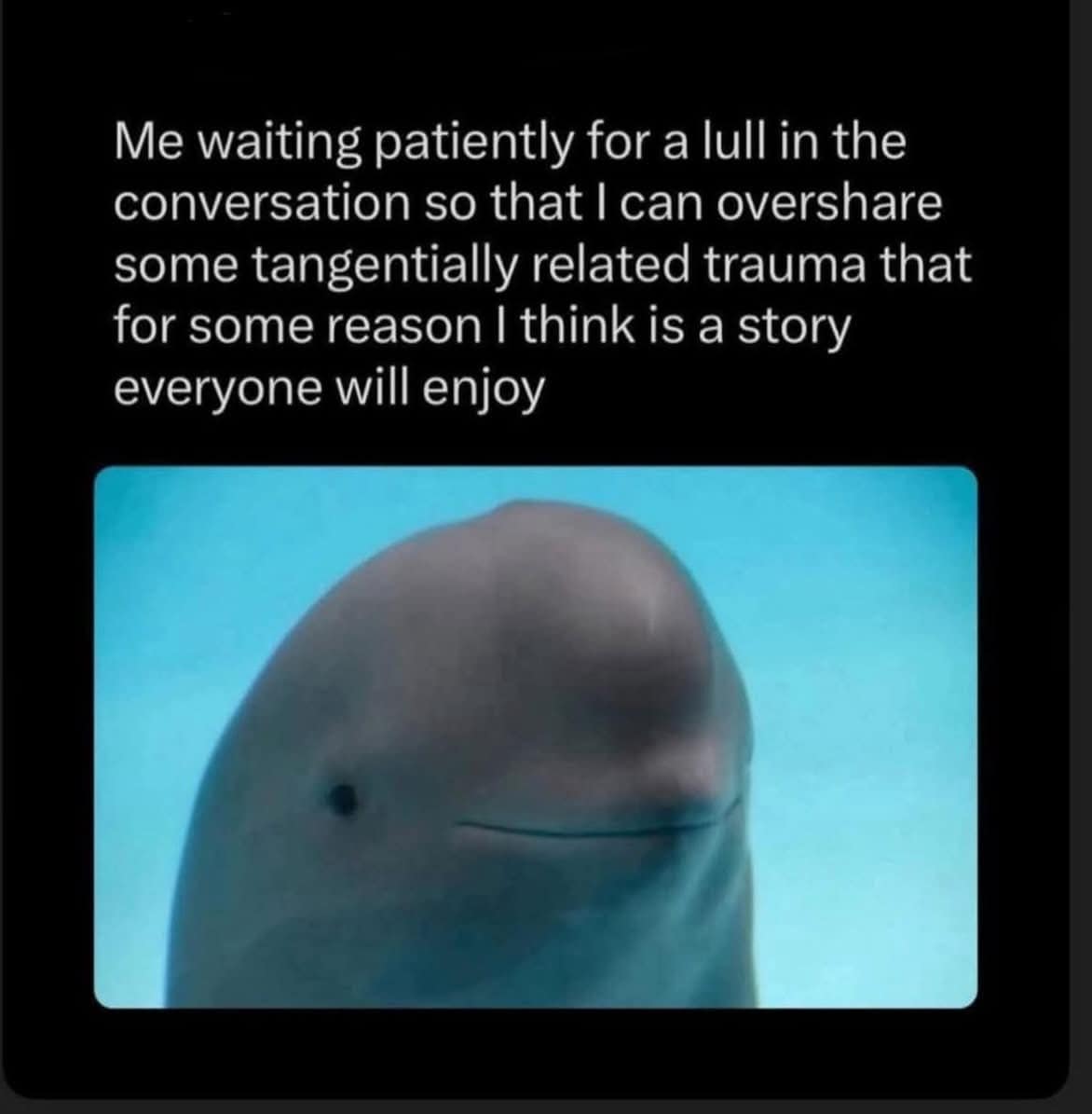 dank memes, viral memes, meme collection, meme gallery, trending memes, internet humor, lunch break, group chat memes, viral jokes, random memes, work memes, meme picks, meme batch, meme therapy, distraction memes, new memes, meme roundup, best memes, dank meme dump, internet memes