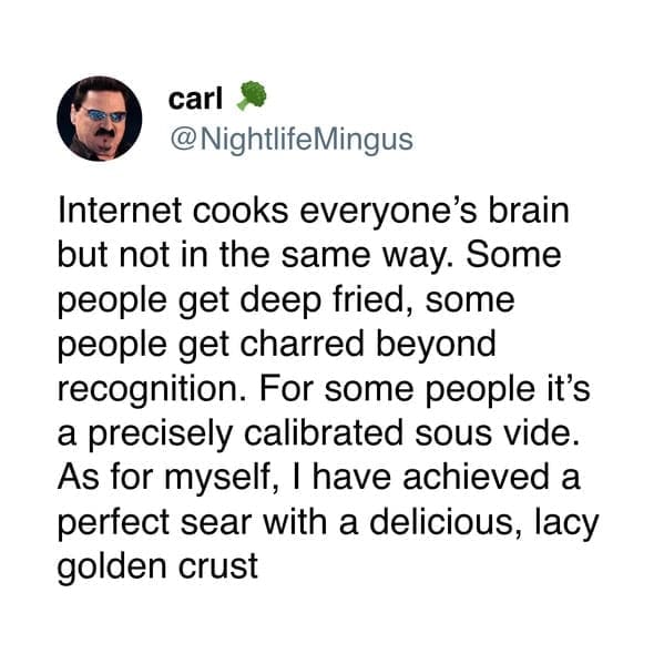 Tweet about internet frying brains; deep-fried, charred, sous-vide.