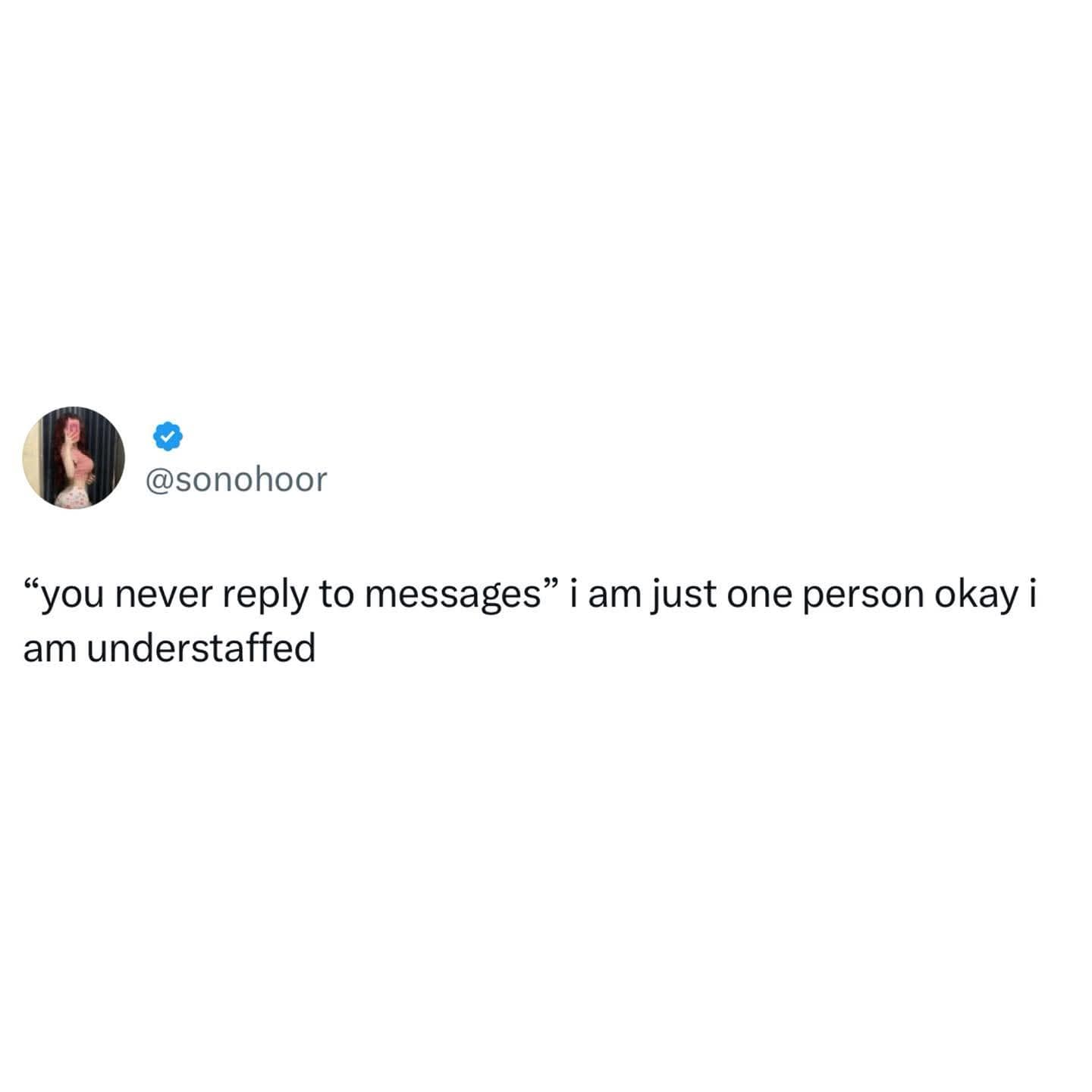 Tweet saying “you never reply… I am just one person, I am understaffed,” closing out a meme dump