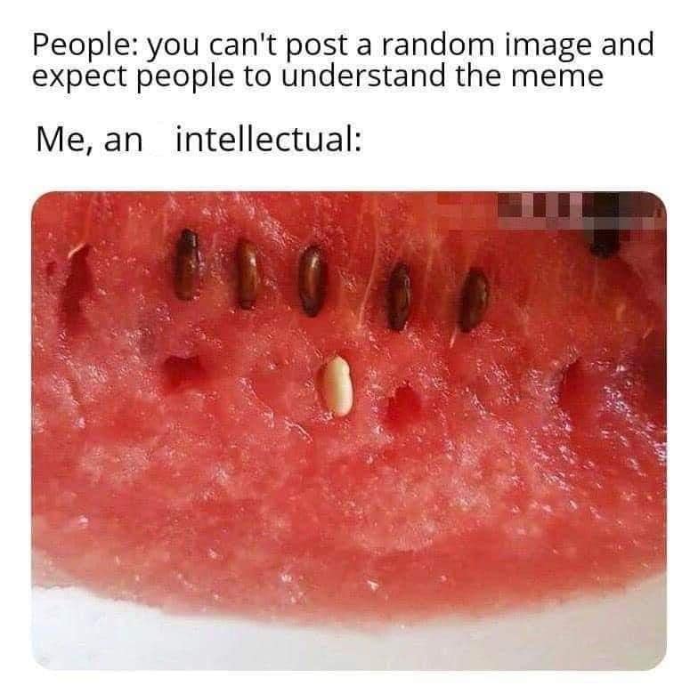 Close-up of watermelon with one pale seed among many dark ones, labeled “Me, an intellectual.”