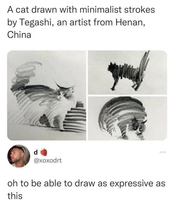 Minimalist charcoal sketches showing cats in motion, three-panel art study featured in a meme dump