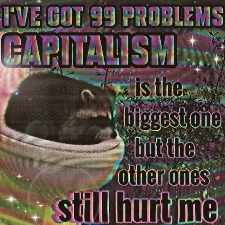 Psychedelic raccoon poster with glitter text about capitalism and problems, part of a meme dump