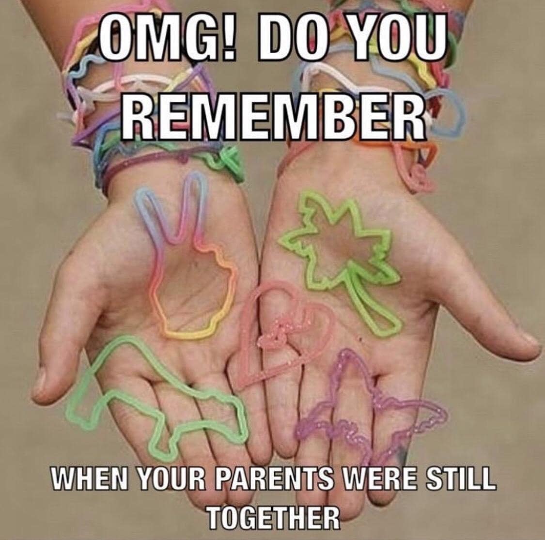 hands full of Silly Bandz with caption “OMG! Do you remember… when your parents were still together.”