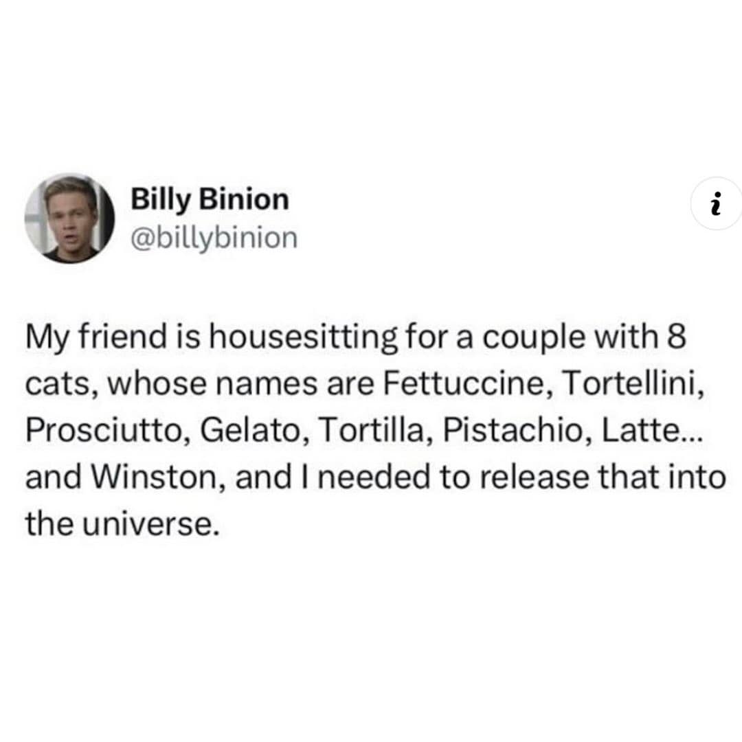 Tweet about housesitting eight cats named after foods—Fettuccine to Pistachio—plus Winston, shared in a meme dump