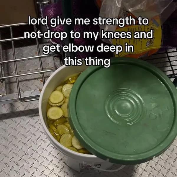 Bucket of pickles with caption asking for strength not to elbow-deep the brine