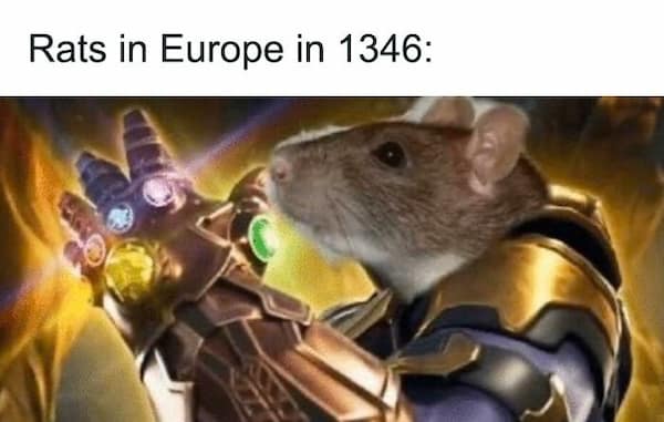 A history meme showing a rat as the villain Thanos, wearing the Infinity Gauntlet, representing the Black Death.