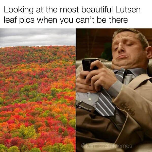 A Minnesota meme about the sadness of seeing beautiful Lutsen fall color pictures on your phone at home.