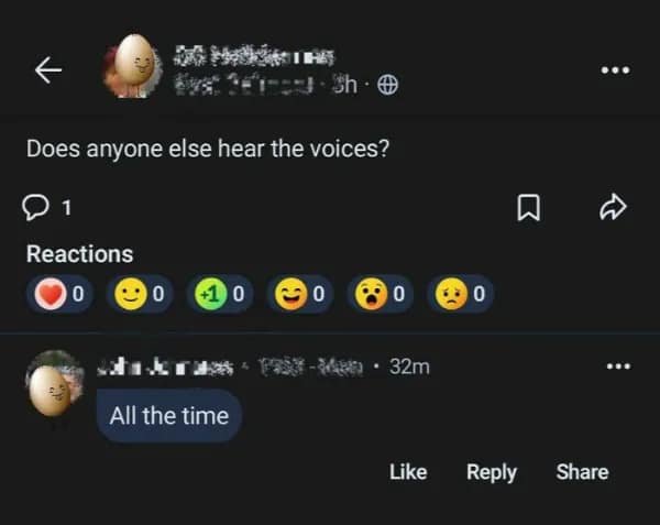 A funny neighbor app post where a person asks about hearing voices and then replies to themselves.