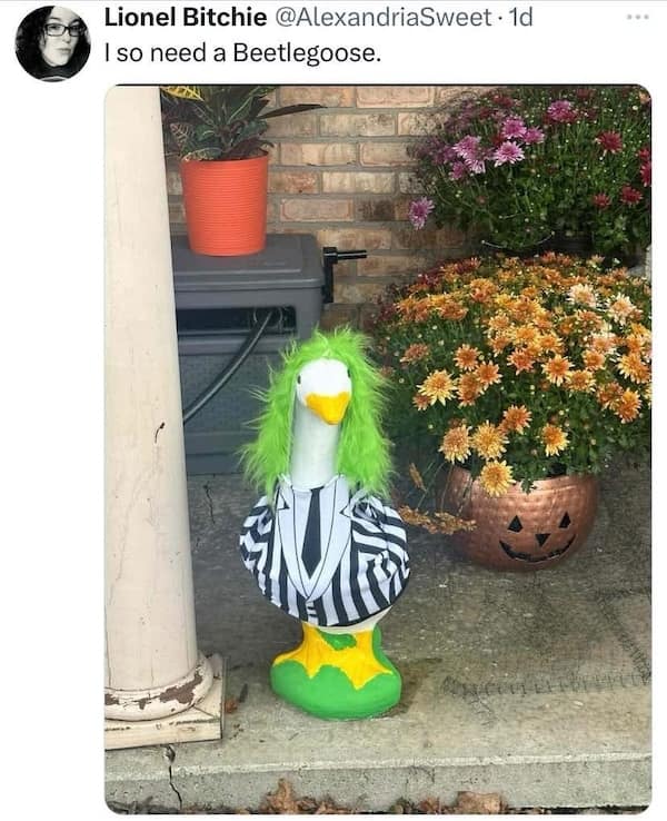 Concrete lawn goose dressed as Beetlejuice—green wig, black-and-white striped suit—tweeted as “Beetlegoose.”