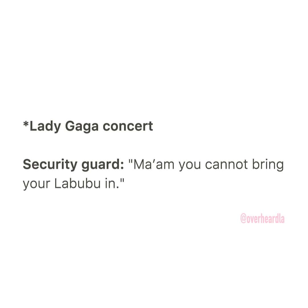 A quote from security telling a Lady Gaga fan they can't bring their Labubu inside.