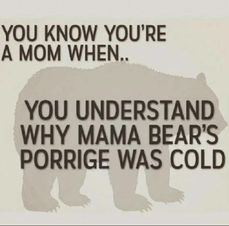 Graphic of a bear silhouette behind large text: “You understand why Mama Bear’s porridge was cold.”