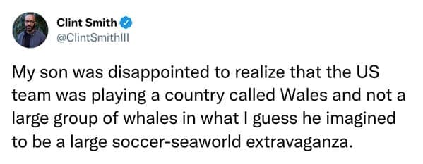 Tweet about child thinking “Wales” meant whales during a soccer match.