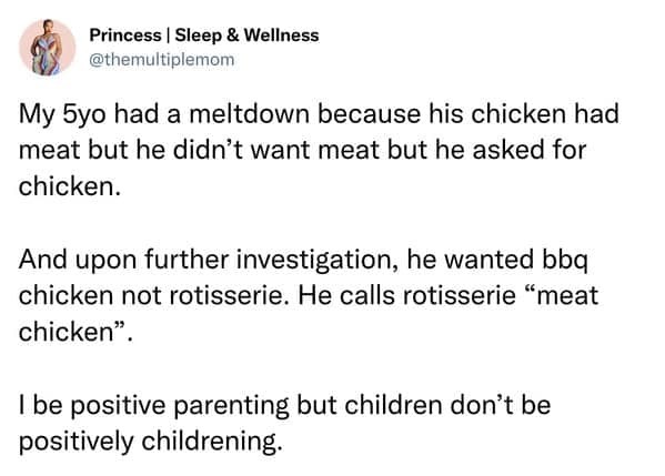 Tweet about 5-year-old melting down over “meat chicken” vs BBQ chicken.