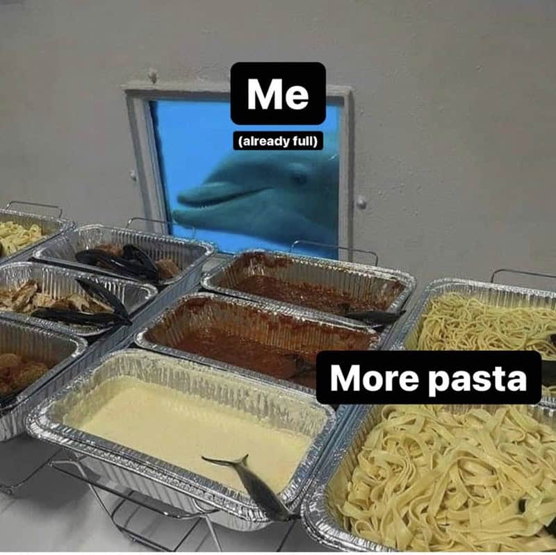 A funny pasta meme with a dolphin looking at a pasta buffet even though it is already full.