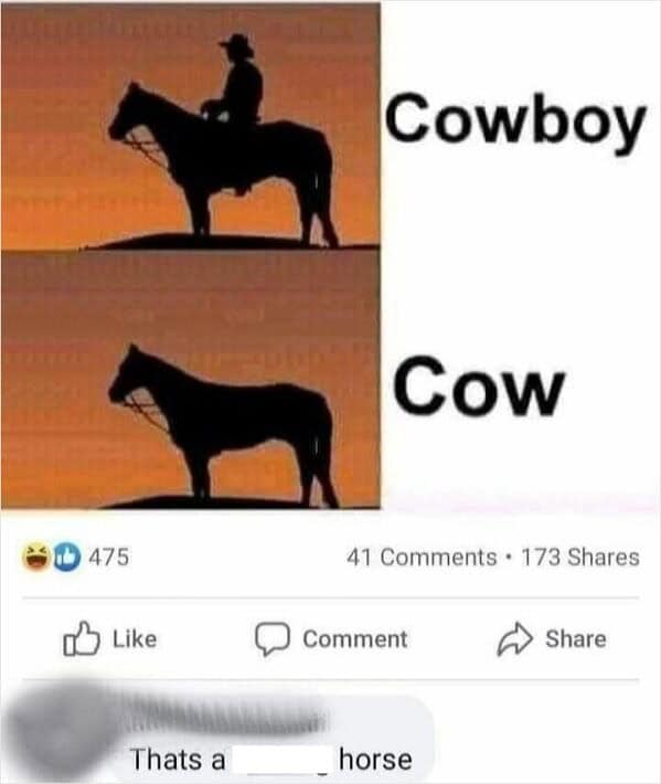 A meme where a Facebook commenter missed the joke about the difference between a cowboy and cow.