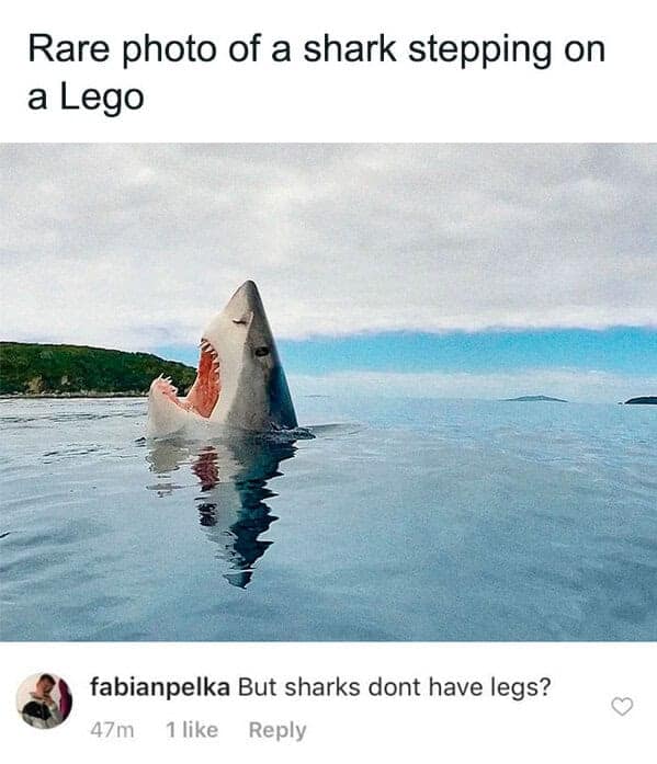 An image of someone who missed the joke about a shark stepping on a Lego brick.