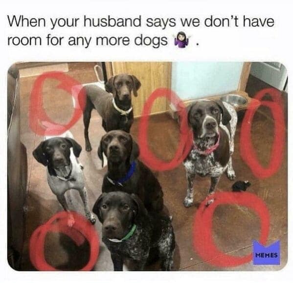 A husband’s perspective of many dogs circled in red when he says there’s no room for more.