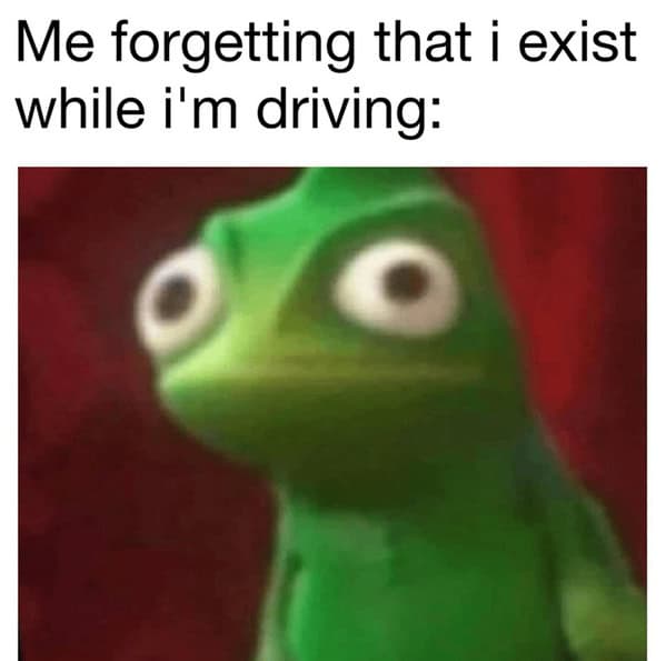 A blurry, wide-eyed chameleon staring into space.