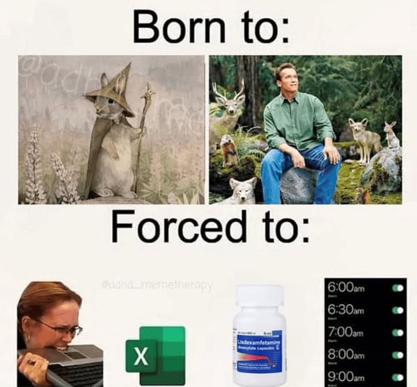 Split image: fantasy life with animals vs. corporate life with spreadsheets and ADHD meds