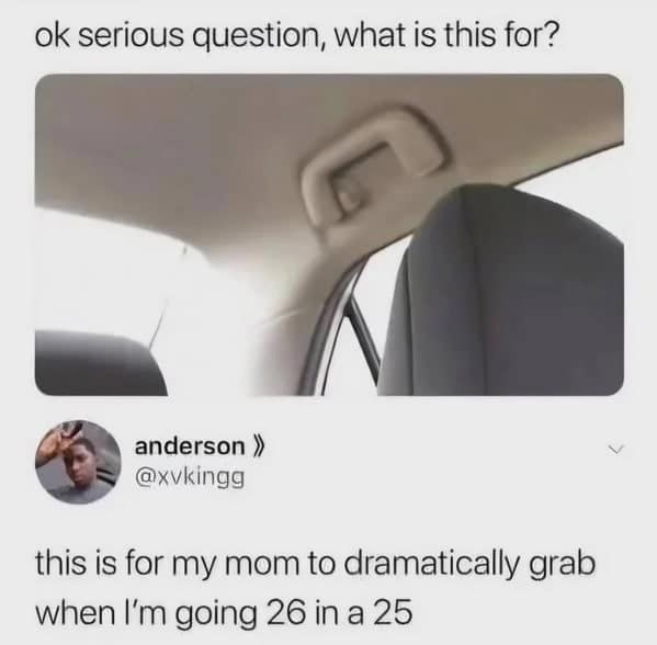 A relatable tweet joking that the car's interior grab handle is for moms who are nervous passengers.