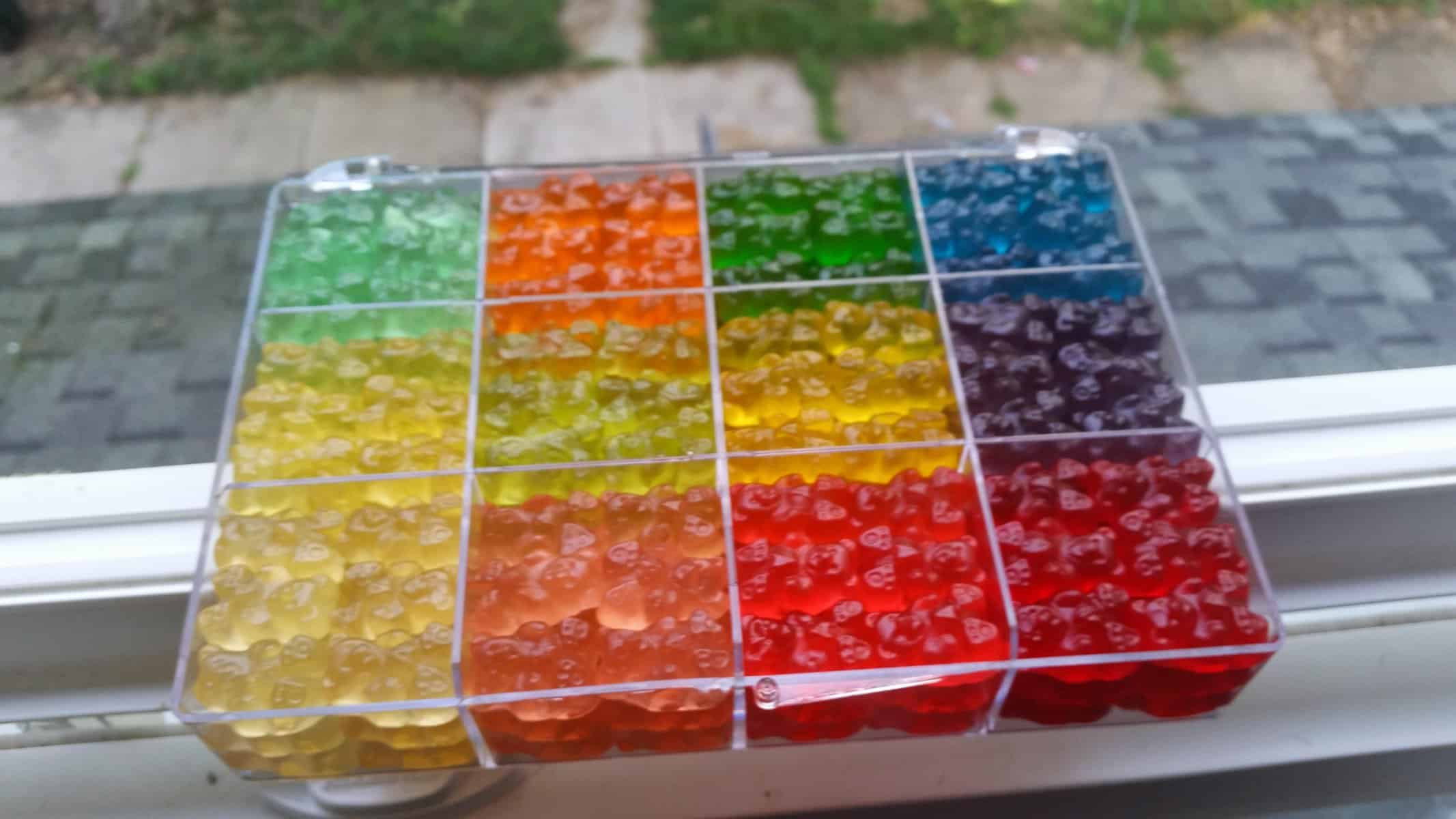 Gummy bears sorted by color in a clear twelve-cell organizer