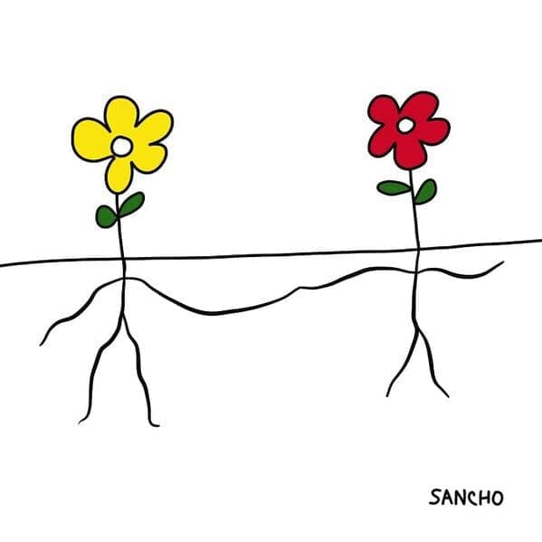 Two simple flowers above ground with their roots secretly intertwined below