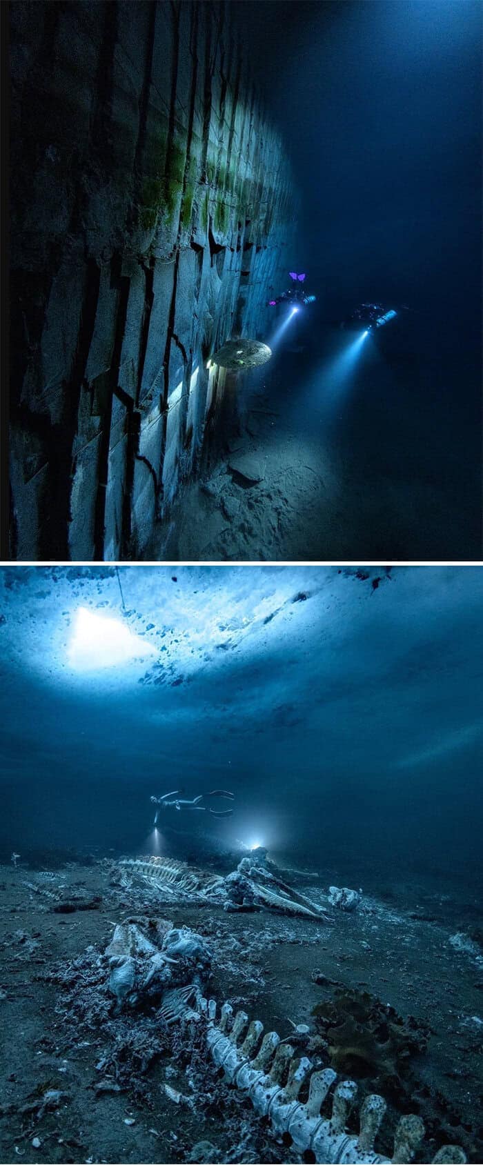 Divers exploring a whale skeleton and a dark, underwater quarry in these eerie deep-sea photos.